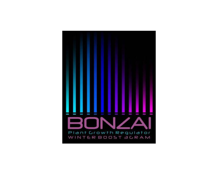 Bonzai Winter Boost